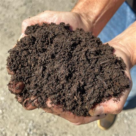 bulkbuy of manure on cheap price in my area